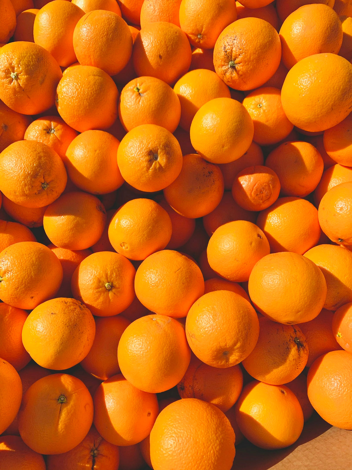 Fresh oranges