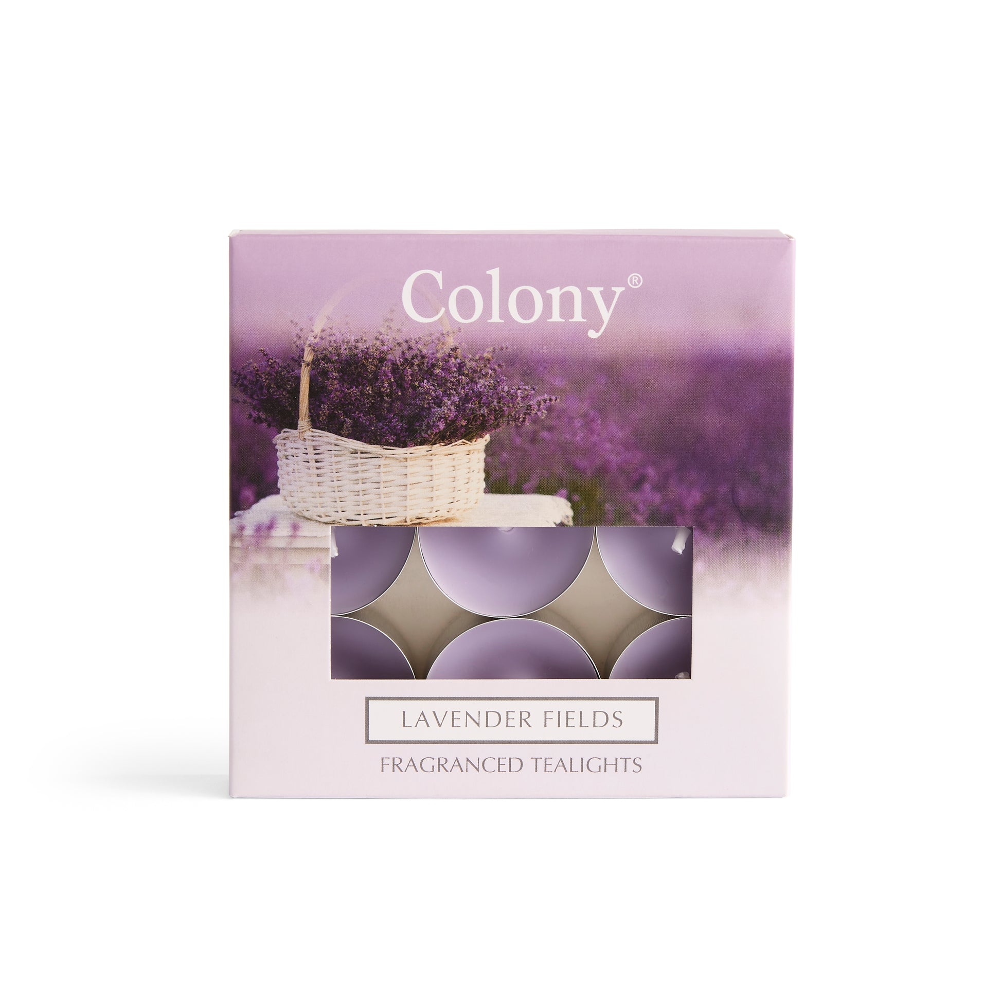 Colony (Pack of 9) Tealights Lavender Fields