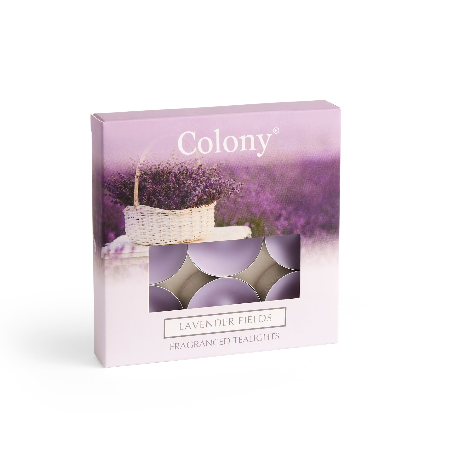 Colony (Pack of 9) Tealights Lavender Fields