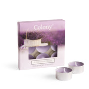 Colony (Pack of 9) Tealights Lavender Fields