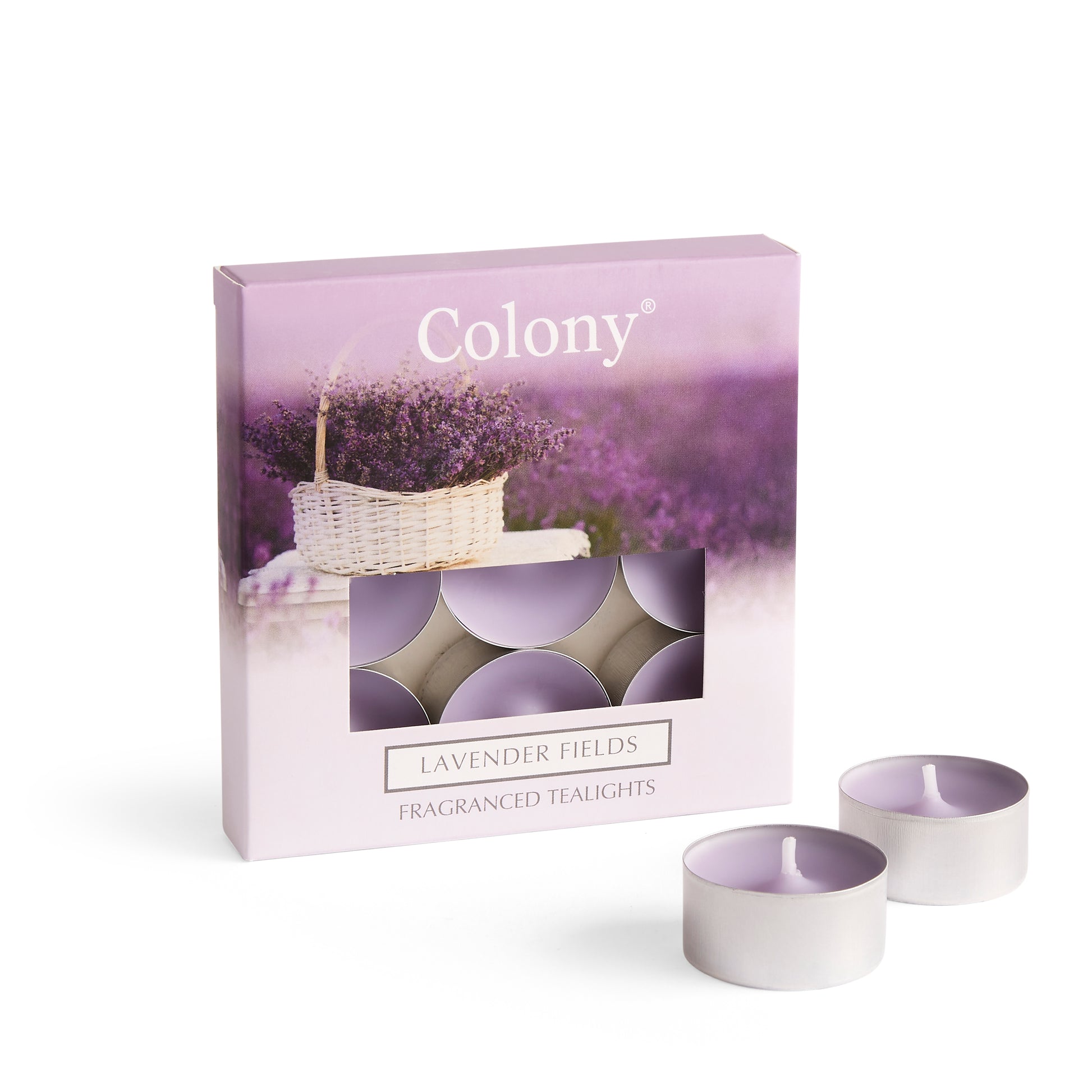 Colony (Pack of 9) Tealights Lavender Fields