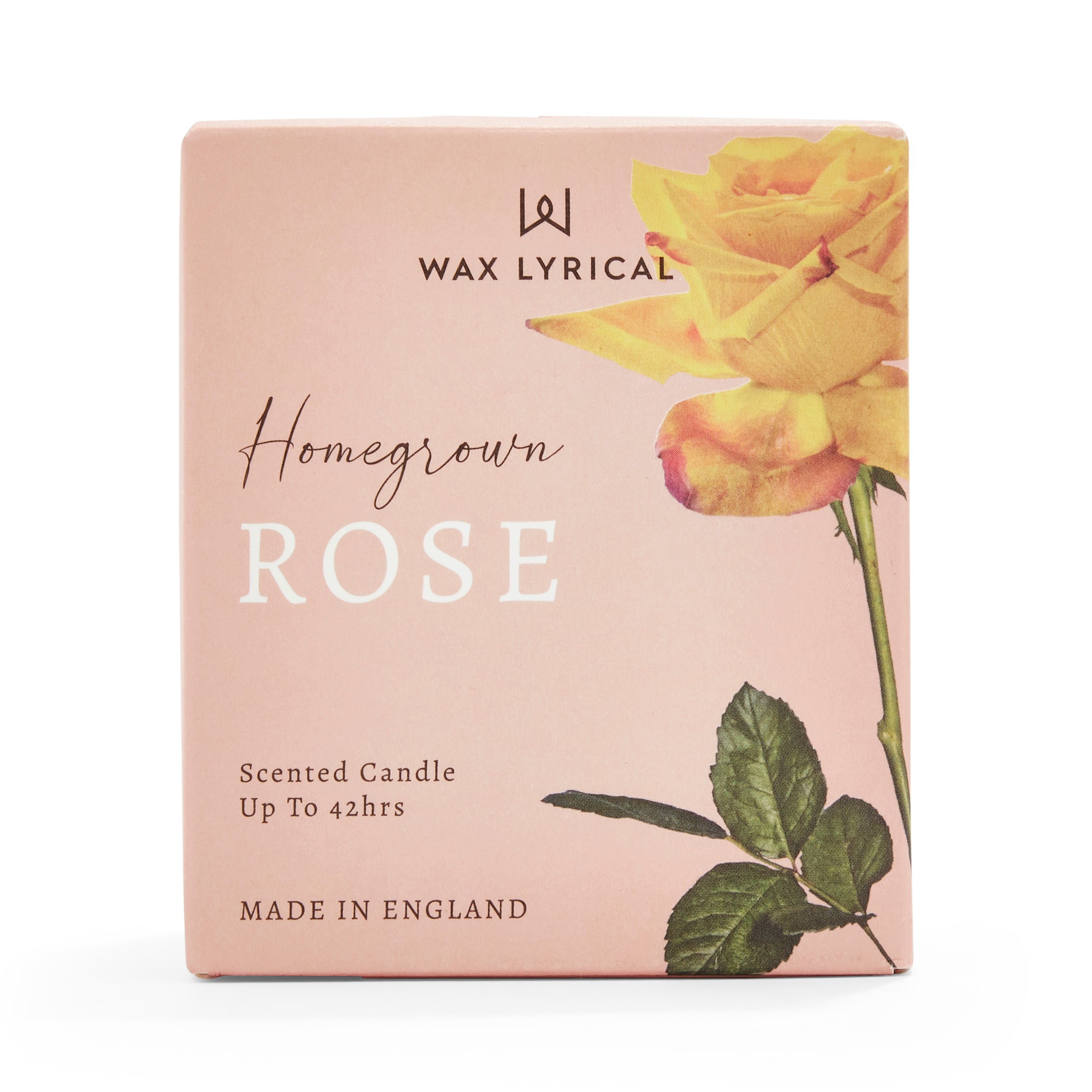 Wax Fill Rose