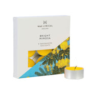Tealights Bright Mimosa