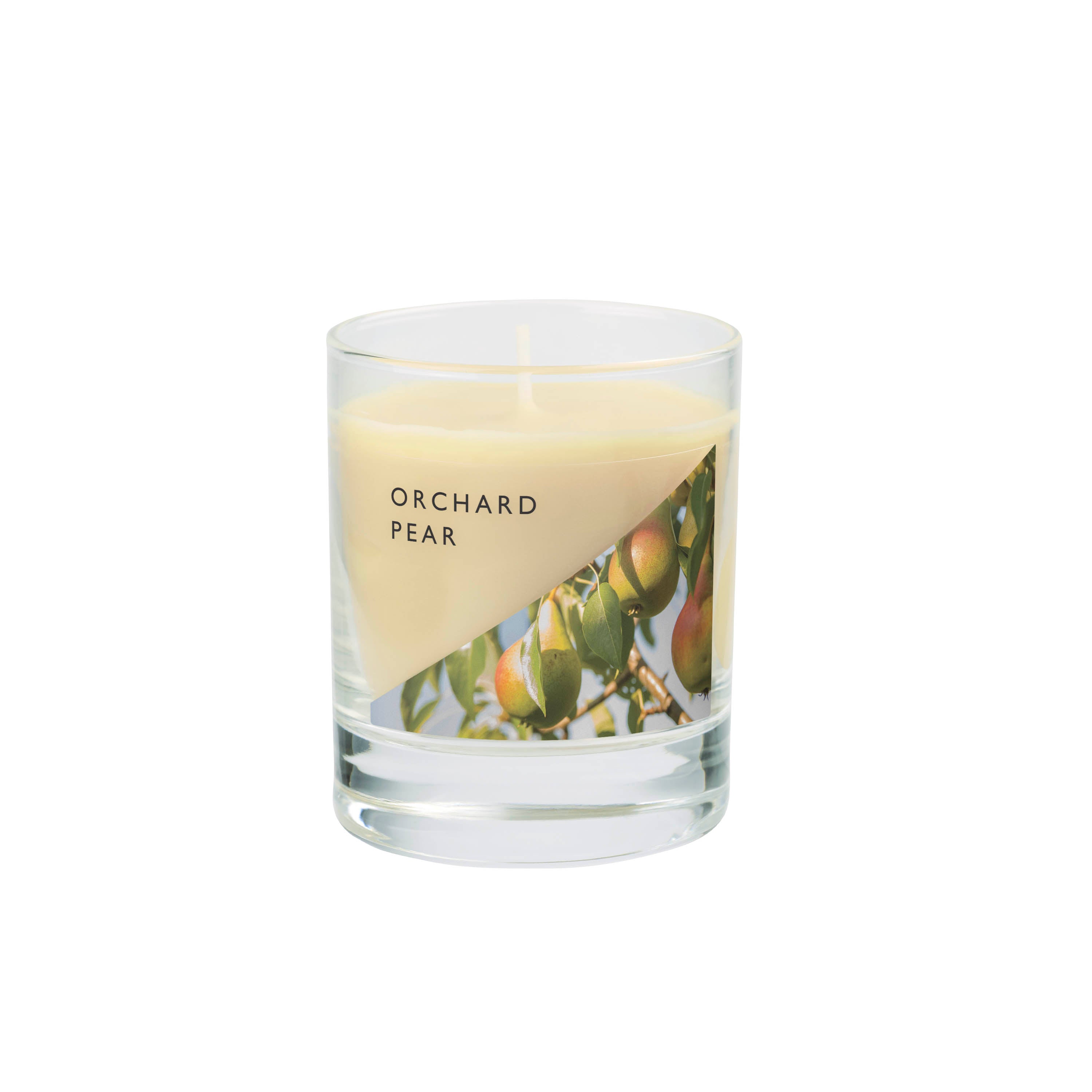 Sml Wax Fill Orchard Pear