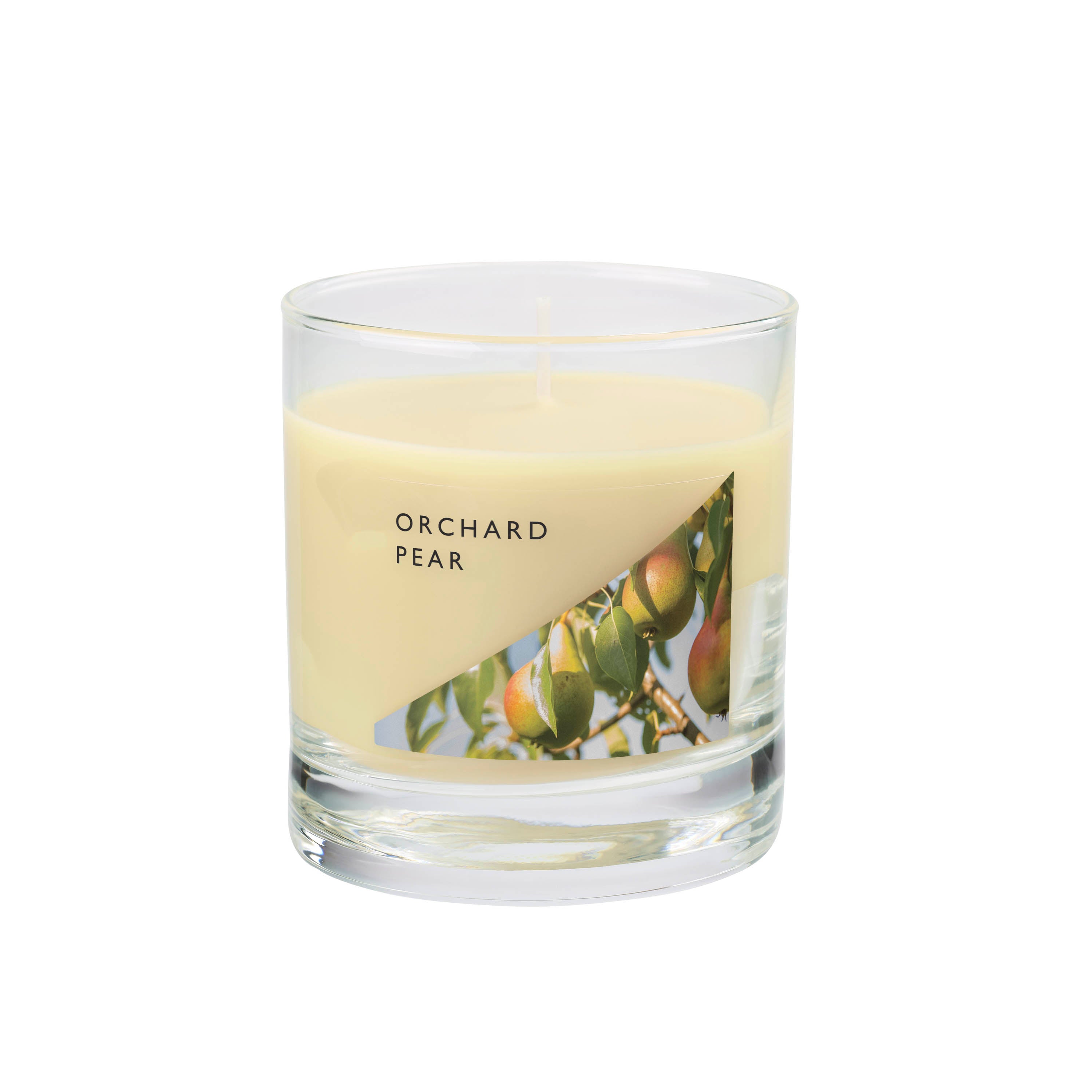 Medium Wax Fill Orchard Pear