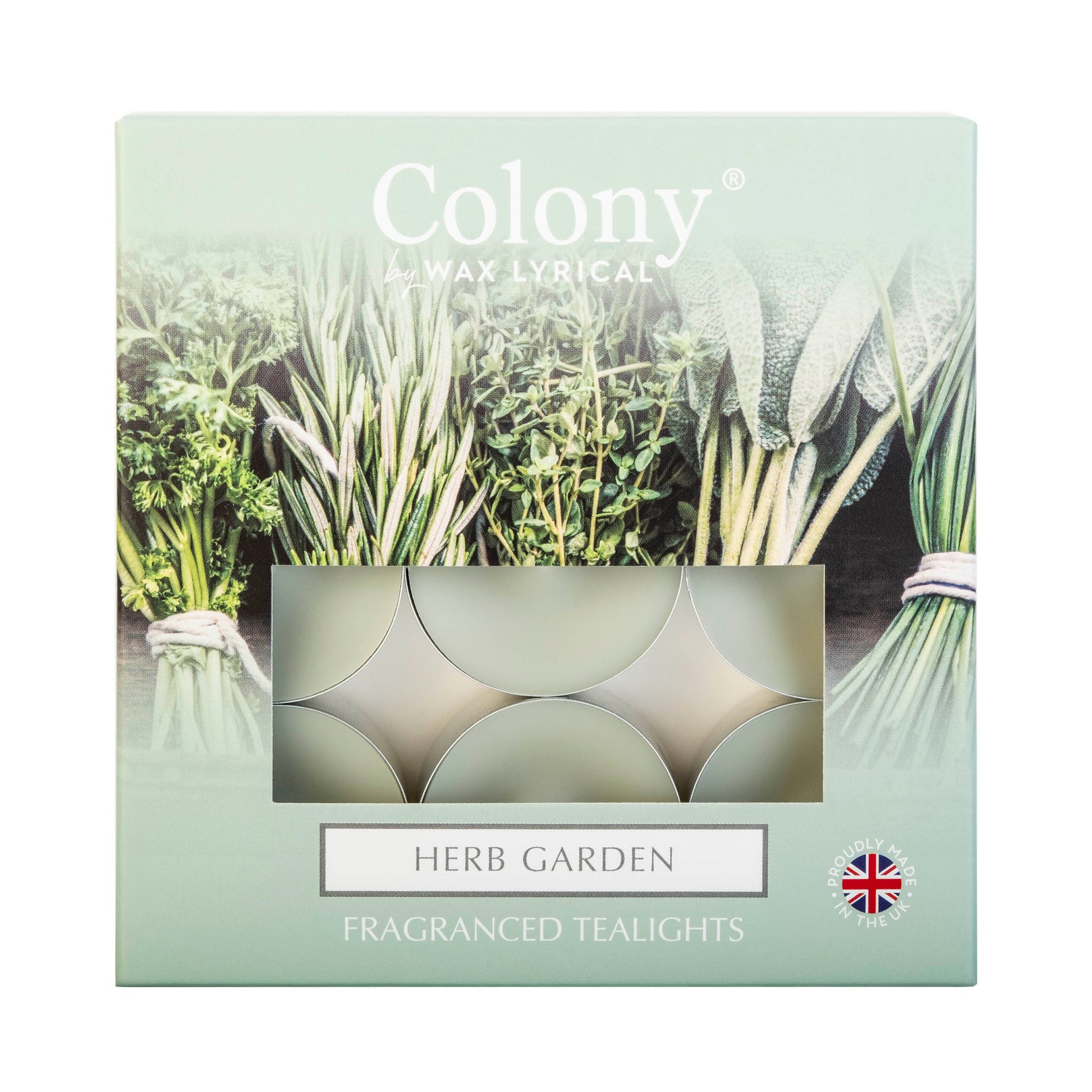 Colony (Pack of 9) Tealights Herb Garden