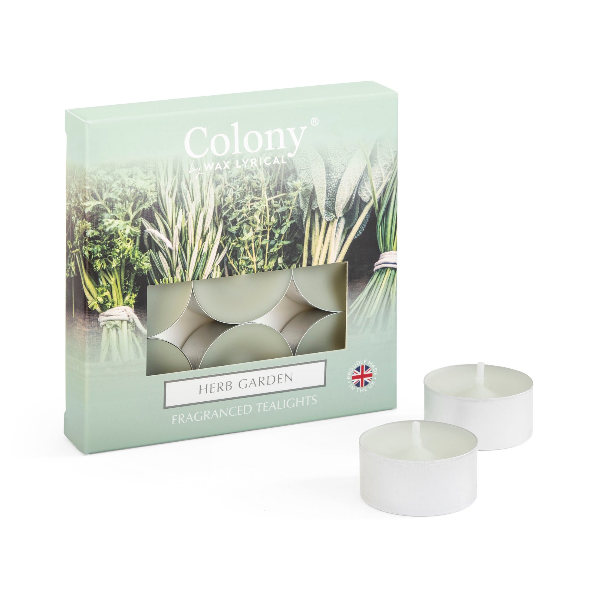Colony (Pack of 9) Tealights Herb Garden